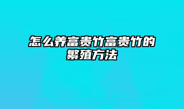 怎么养富贵竹富贵竹的繁殖方法