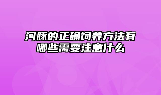 河豚的正确饲养方法有哪些需要注意什么