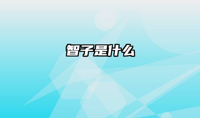 智子是什么