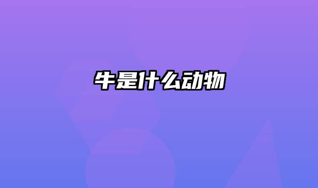 牛是什么动物