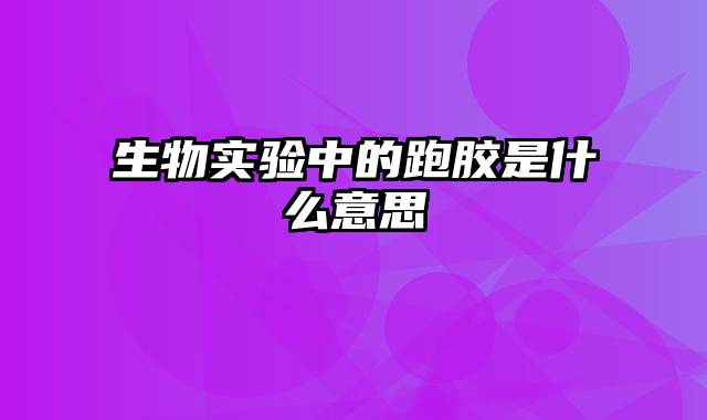 生物实验中的跑胶是什么意思