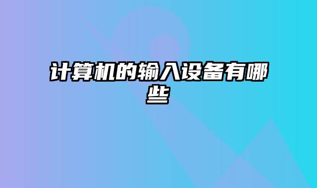计算机的输入设备有哪些