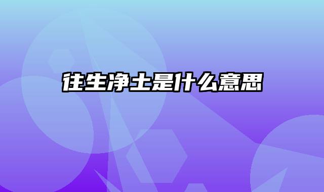 往生净土是什么意思