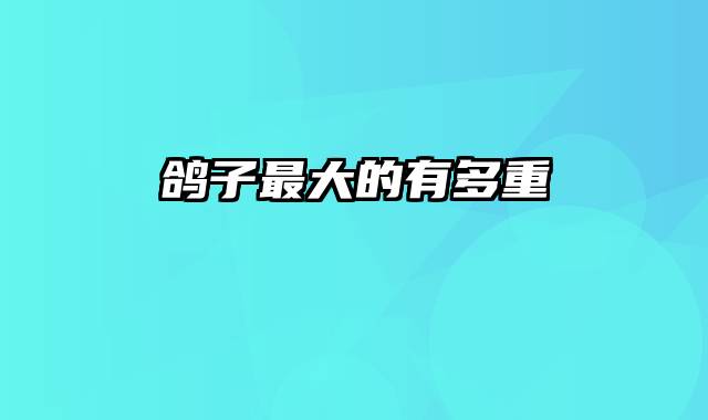 鸽子最大的有多重