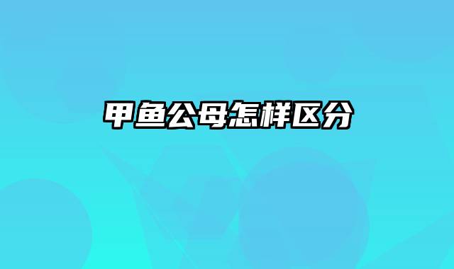 甲鱼公母怎样区分