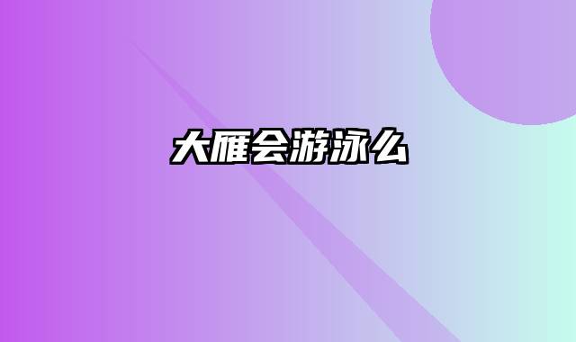 大雁会游泳么