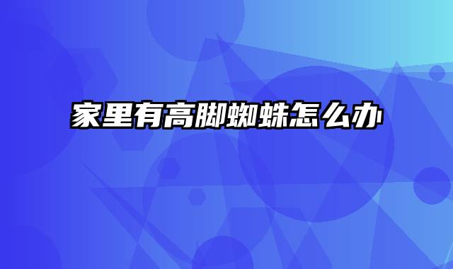 家里有高脚蜘蛛怎么办