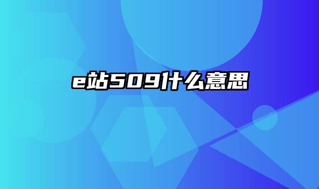 e站509什么意思