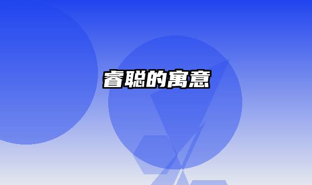 睿聪的寓意