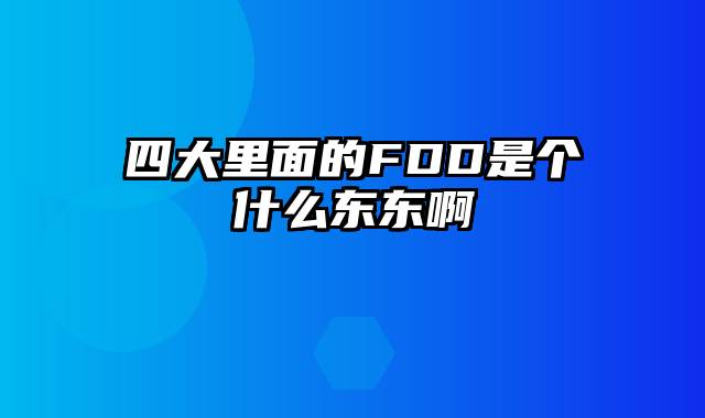 四大里面的FDD是个什么东东啊