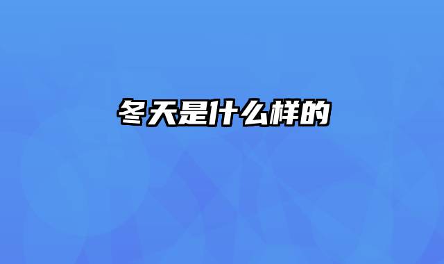 冬天是什么样的