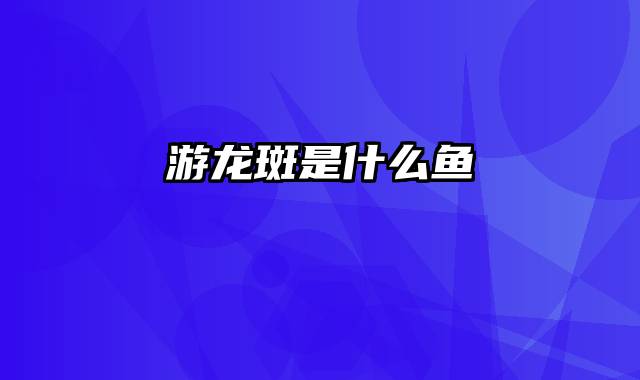 游龙斑是什么鱼
