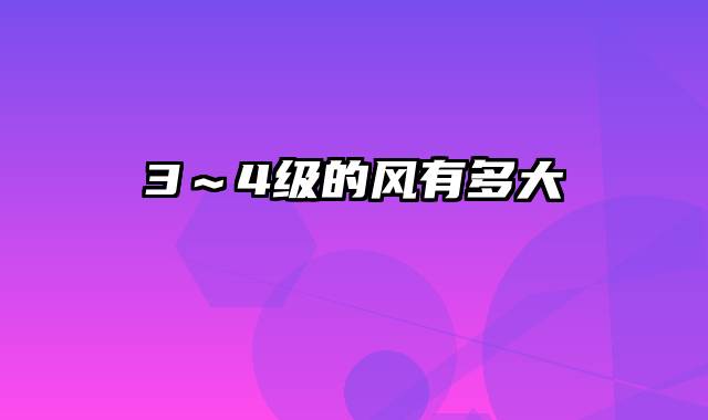 3～4级的风有多大