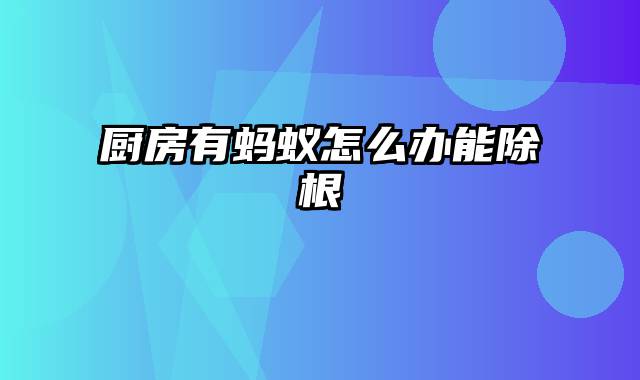 厨房有蚂蚁怎么办能除根