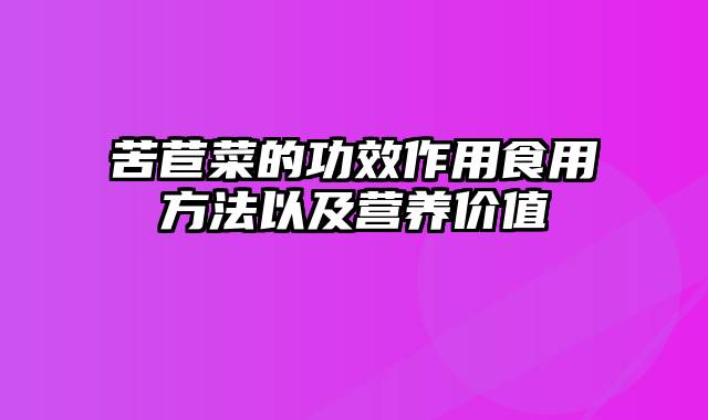 苦苣菜的功效作用食用方法以及营养价值