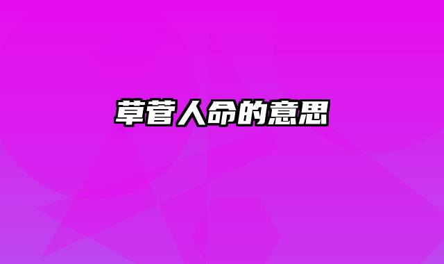 草菅人命的意思