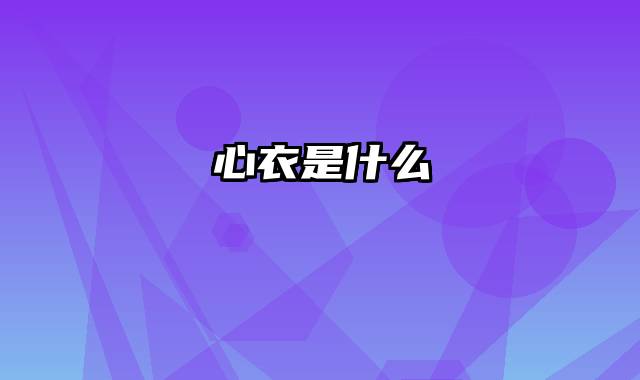 心衣是什么