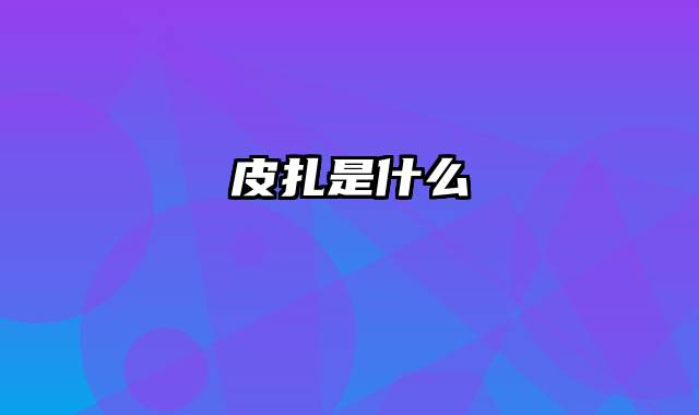 皮扎是什么