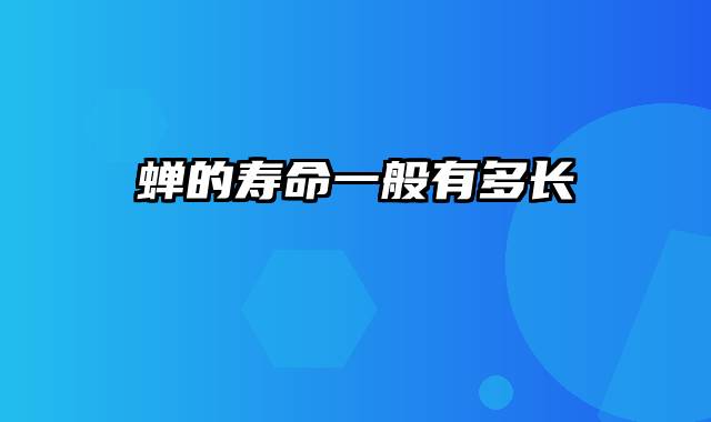 蝉的寿命一般有多长