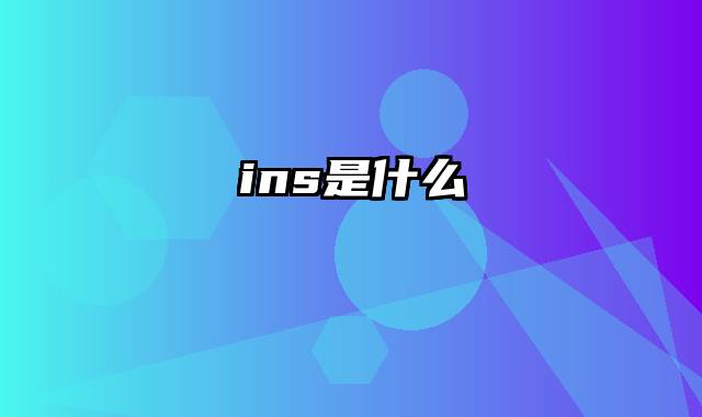 ins是什么