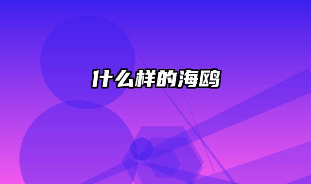 什么样的海鸥