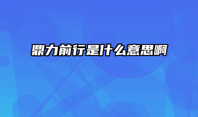 鼎力前行是什么意思啊