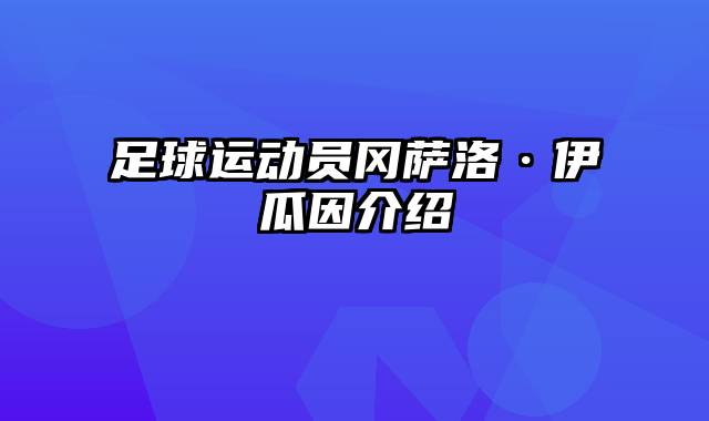 足球运动员冈萨洛·伊瓜因介绍
