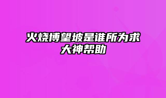 火烧博望坡是谁所为求大神帮助
