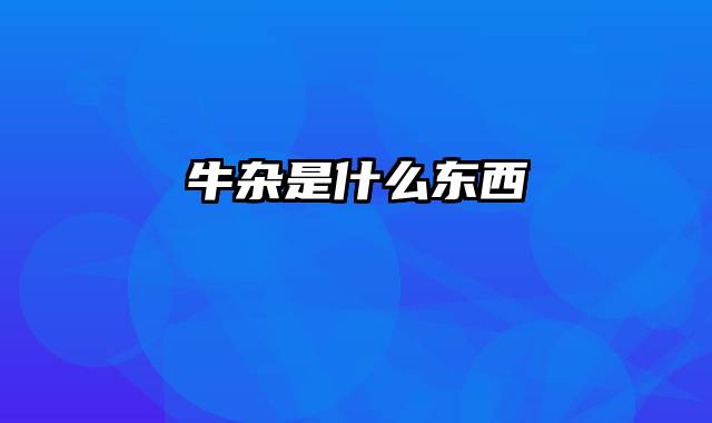 牛杂是什么东西