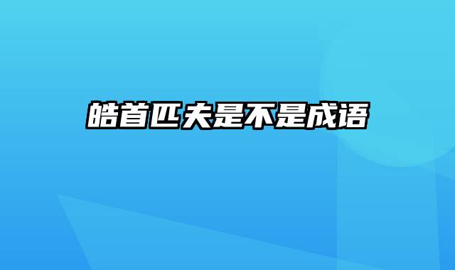 皓首匹夫是不是成语