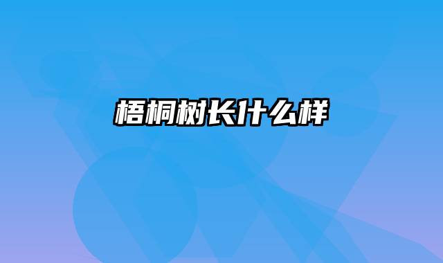 梧桐树长什么样