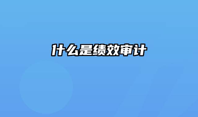 什么是绩效审计