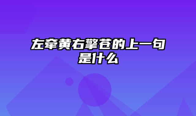 左牵黄右擎苍的上一句是什么