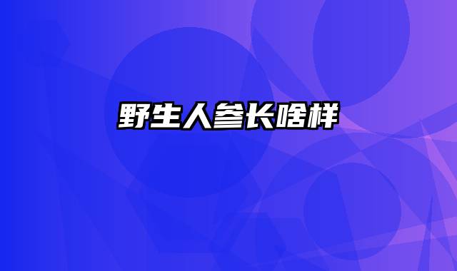 野生人参长啥样