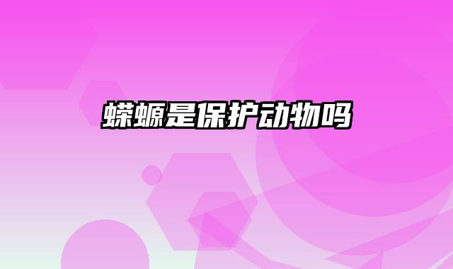 蝾螈是保护动物吗