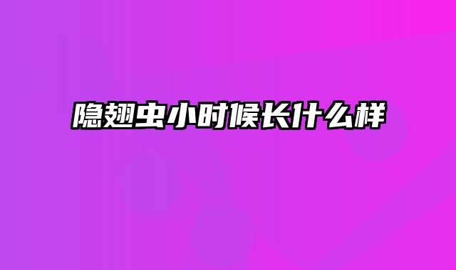 隐翅虫小时候长什么样