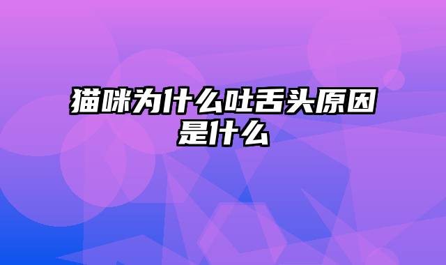 猫咪为什么吐舌头原因是什么