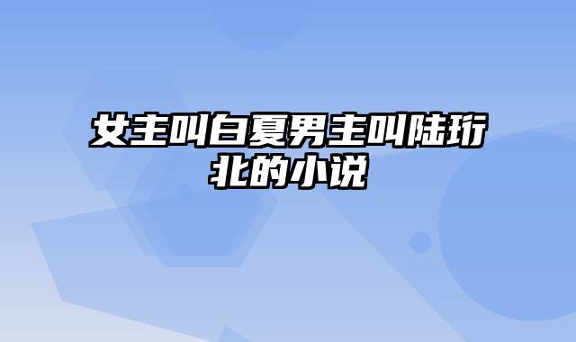 女主叫白夏男主叫陆珩北的小说