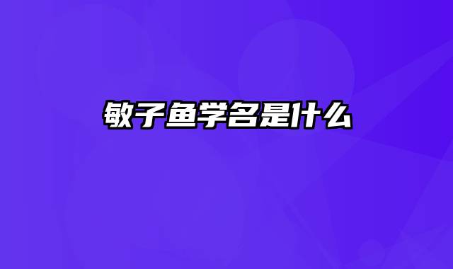 敏子鱼学名是什么