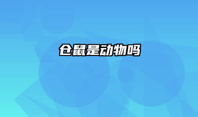仓鼠是动物吗