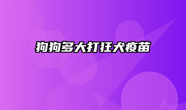 狗狗多大打狂犬疫苗