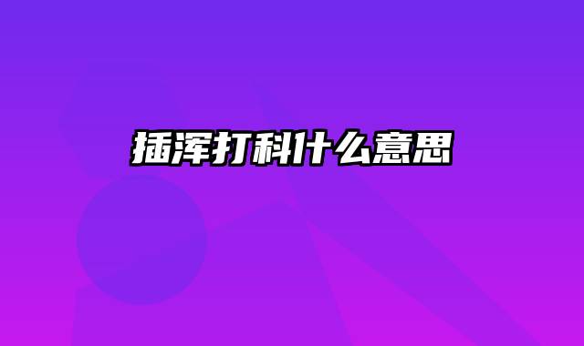 插浑打科什么意思