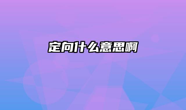 定向什么意思啊