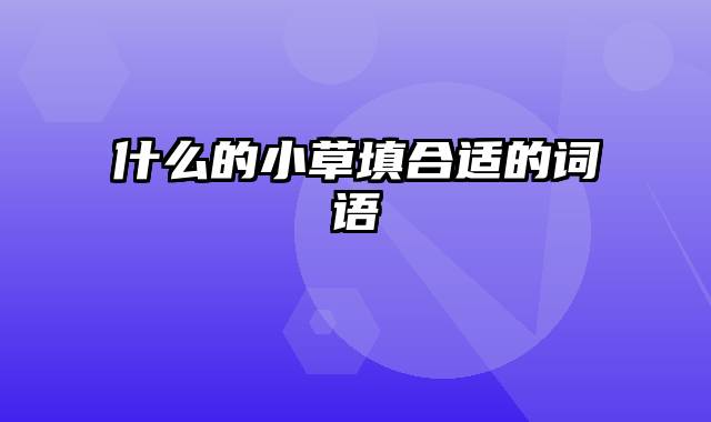 什么的小草填合适的词语
