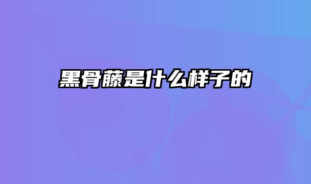 黑骨藤是什么样子的