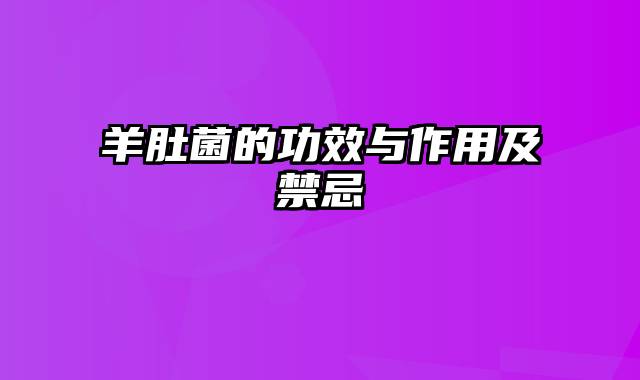 羊肚菌的功效与作用及禁忌