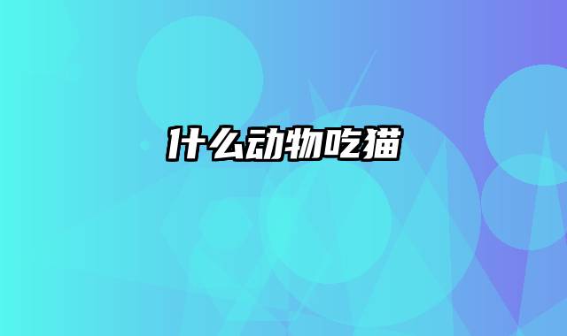 什么动物吃猫