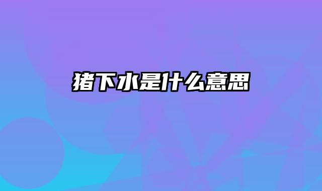 猪下水是什么意思