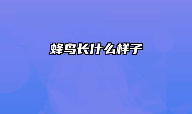 蜂鸟长什么样子