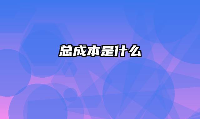 总成本是什么